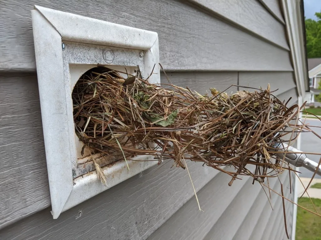 Solar panels on a roof with protective bird mesh installed around the edges